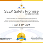 SEEK Safely (Learning to Navigate the Self-Help Industry with Integrity and Accountability)